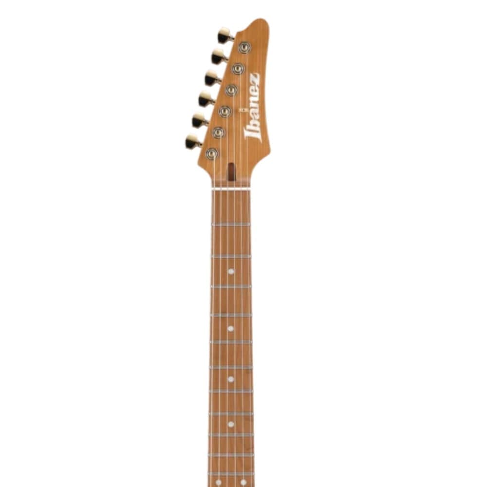 ibanez electric guitars transparent red matte ibanez slm10 electric guitar with gig bag