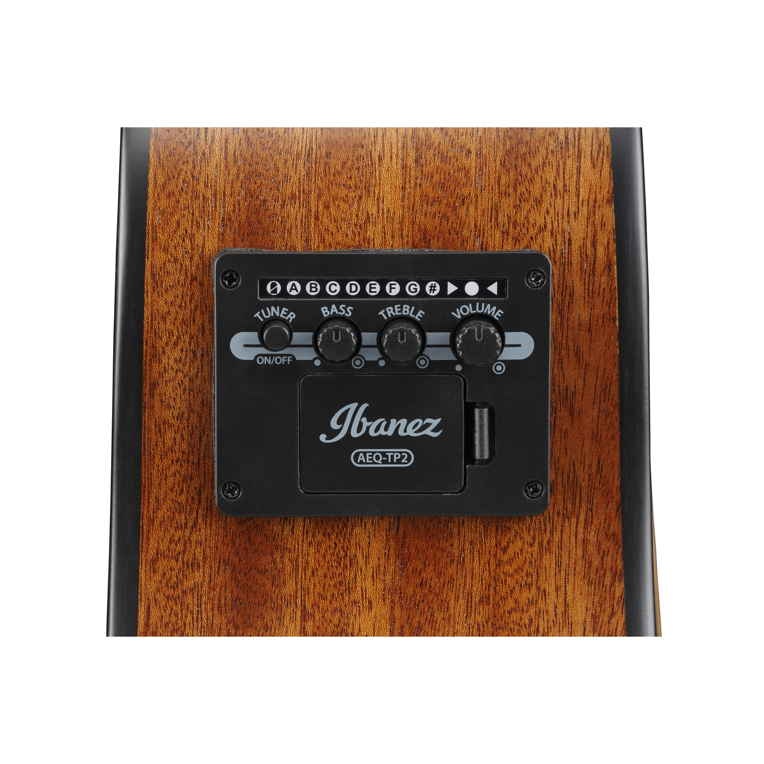 Ibanez Electro Acoustic Guitars Ibanez AAM50CE Advanced Auditorium 6 String Electro Acoustic Guitar