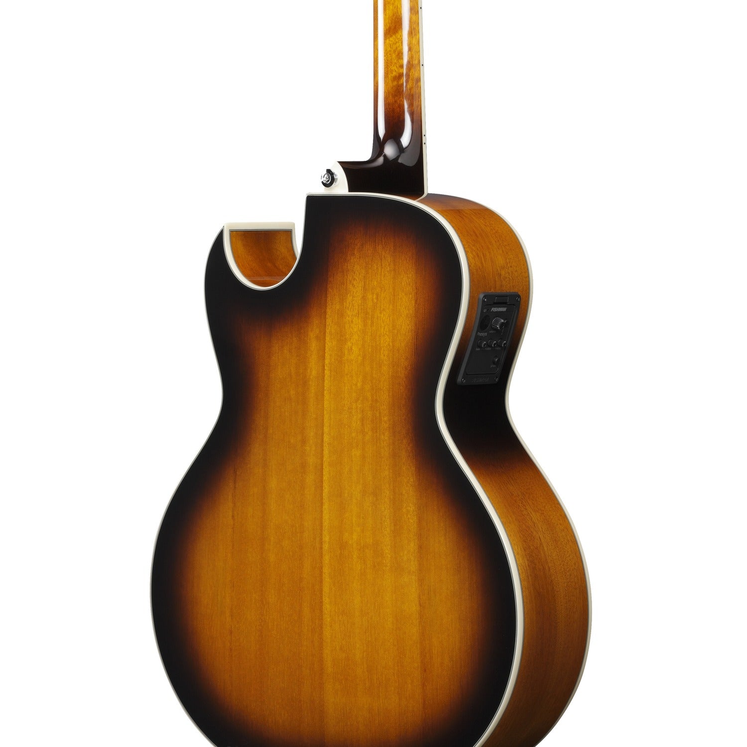 Ibanez Electro Acoustic Guitars Ibanez JSA5 Joe Satriani Signature Acoustic-Electric Guitar
