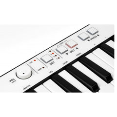 IK Multimedia Midi Keyboards IK Multimedia iRig KEYS