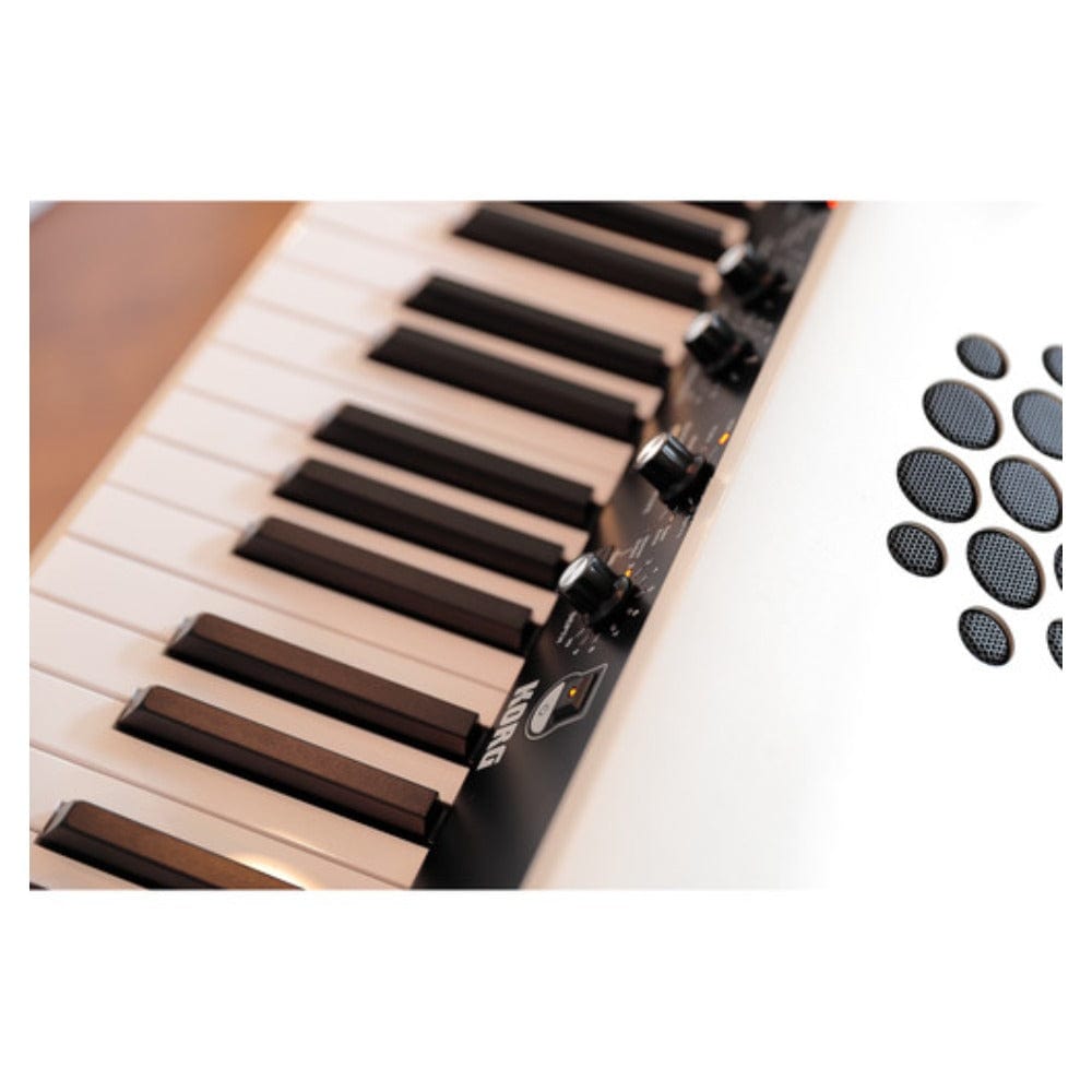 korg digital pianos korg sv-2 88 key stage vintage stage piano - black #configuration_with-speakers,style_piano