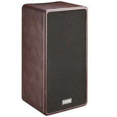 Laney Acoustic Guitar Amplifiers Laney A-DUO Acoustic Combo Amplifier