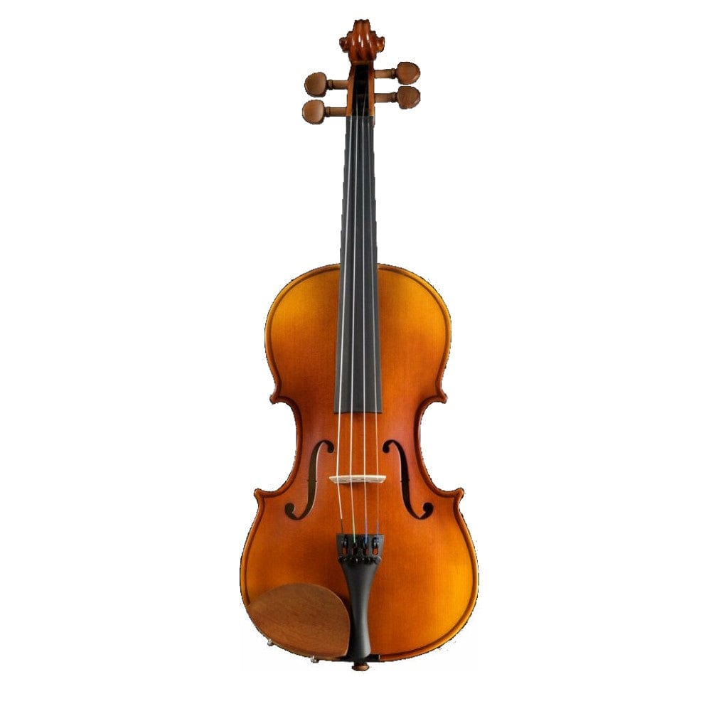 pearl river violins pearl river pr v01 4/4 outfit violin