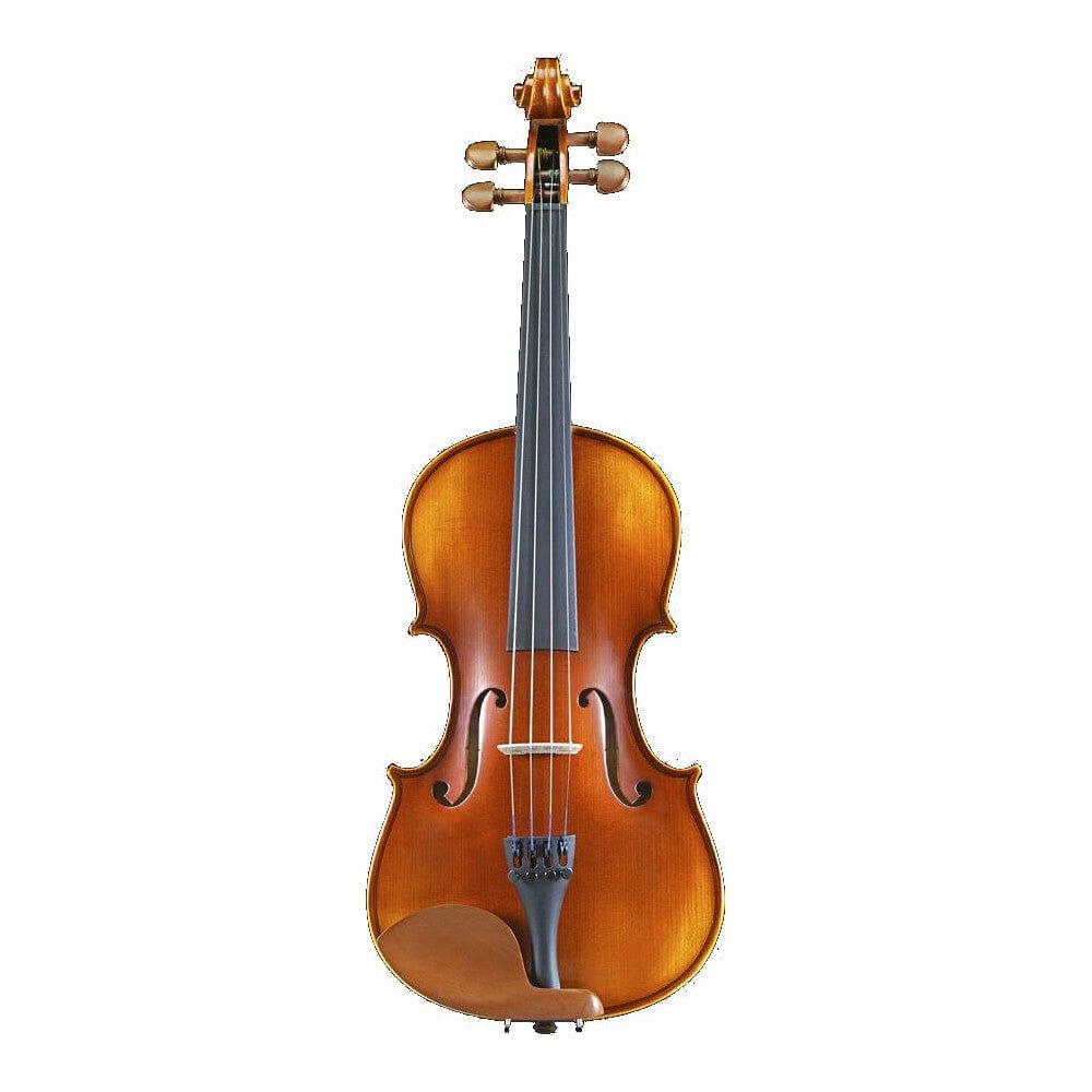 pearl river violins pearl river pr v02 4/4 outfit violin