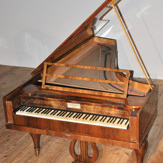 PIANOTEQ Virtual Instruments Pianoteq Kremsegg Collection 1: Classic Pianos