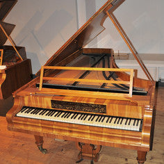 PIANOTEQ Virtual Instruments Pianoteq Kremsegg Collection 1: Classic Pianos