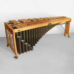 PIANOTEQ Virtual Instruments Pianoteq Xylophone Add-On: Percussive Woodwind