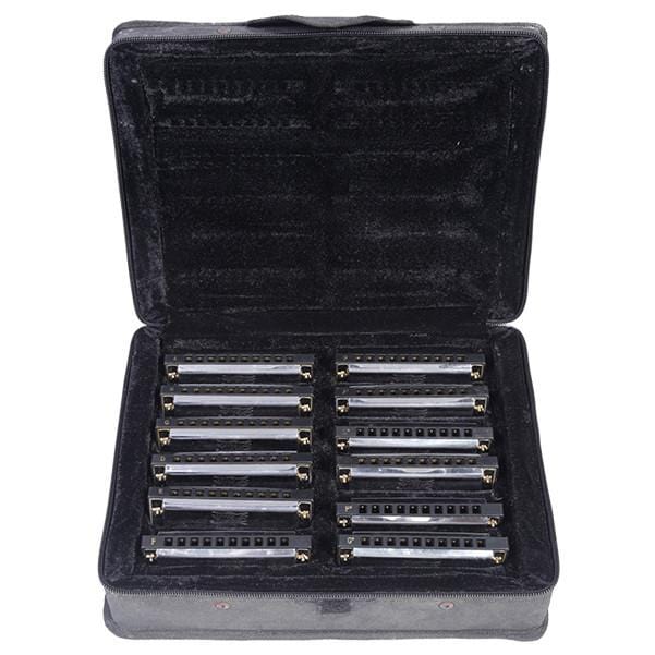 pluto harmonicas pluto jh1020-12 harmonica set