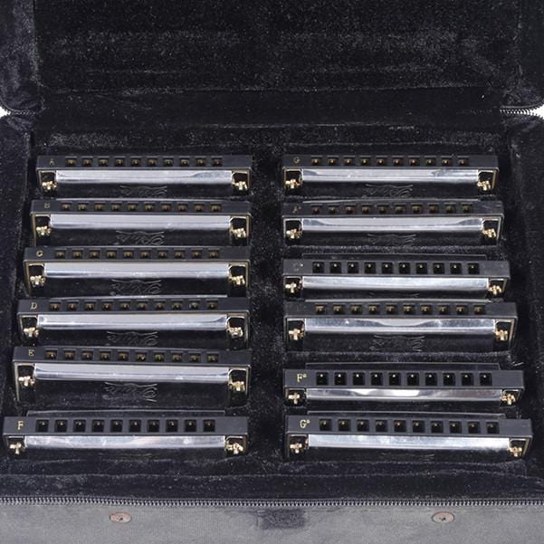 pluto harmonicas pluto jh1020-12 harmonica set