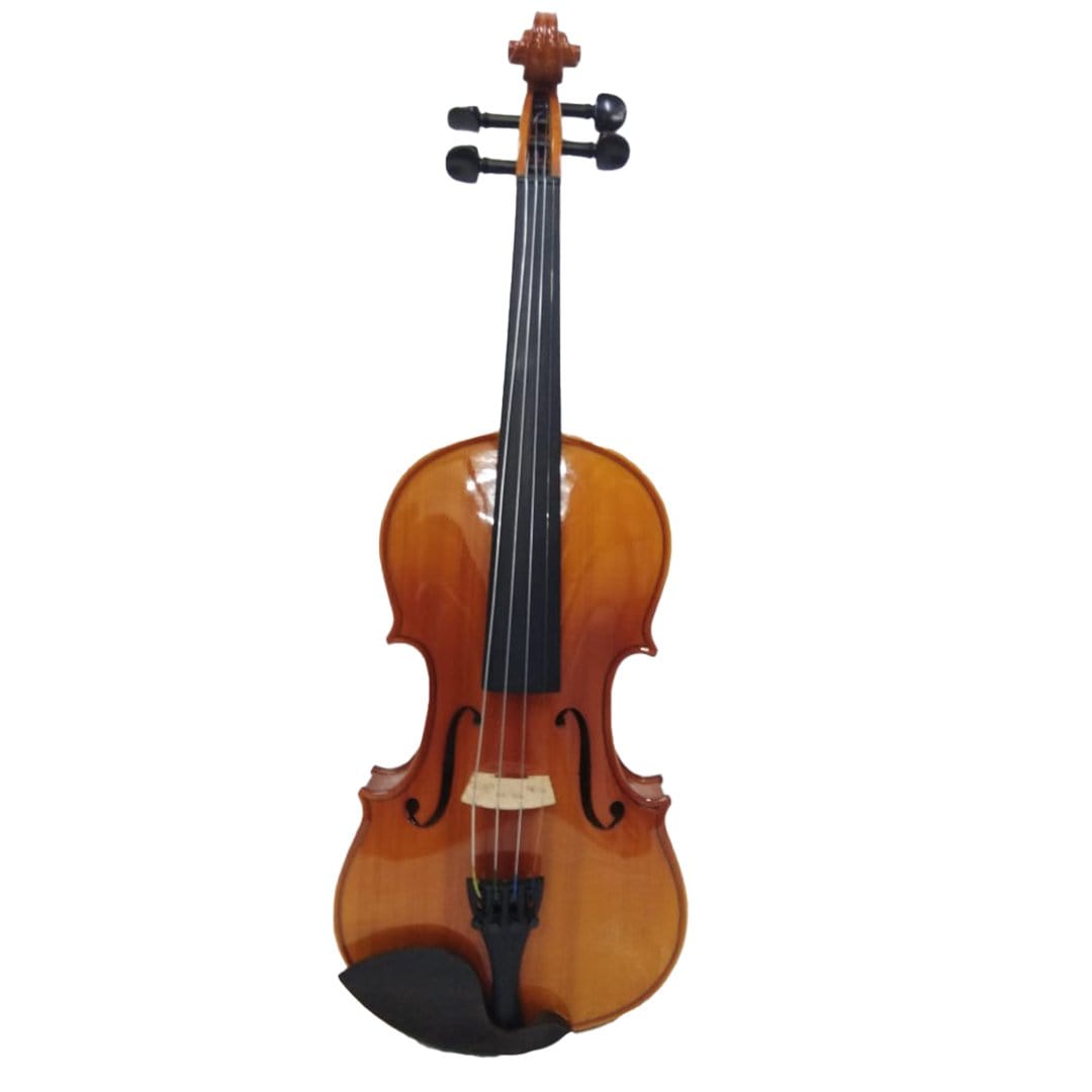 pluto violins pluto 4/4 size violin with bag
