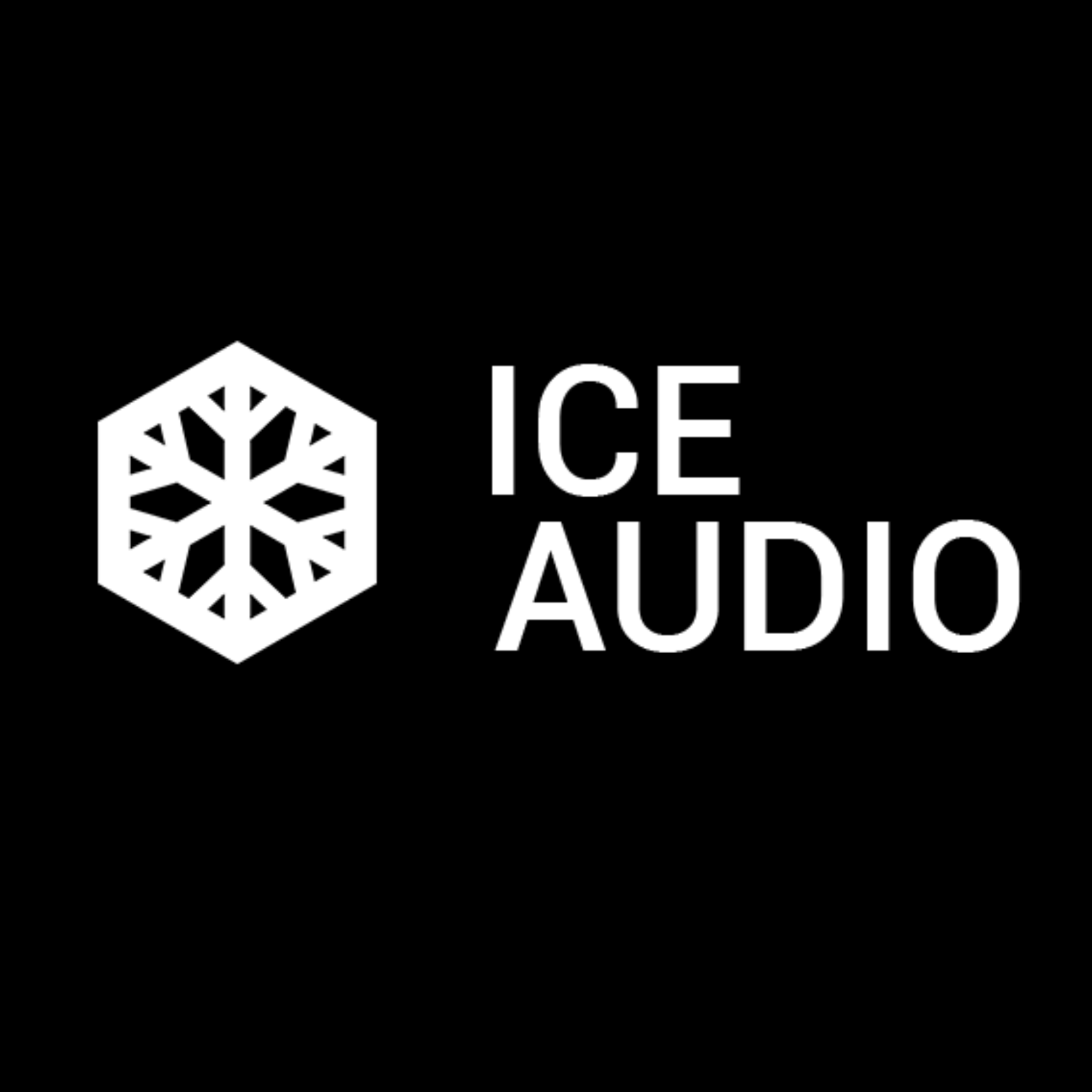Ice Audio Vocal Band