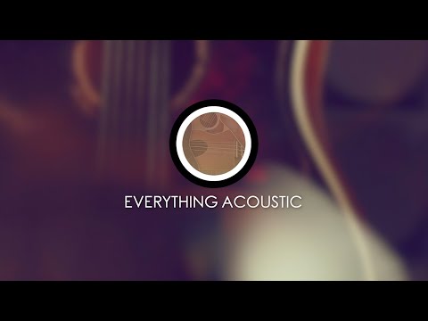 Nightfox Everything Acoustic Instrument Collection