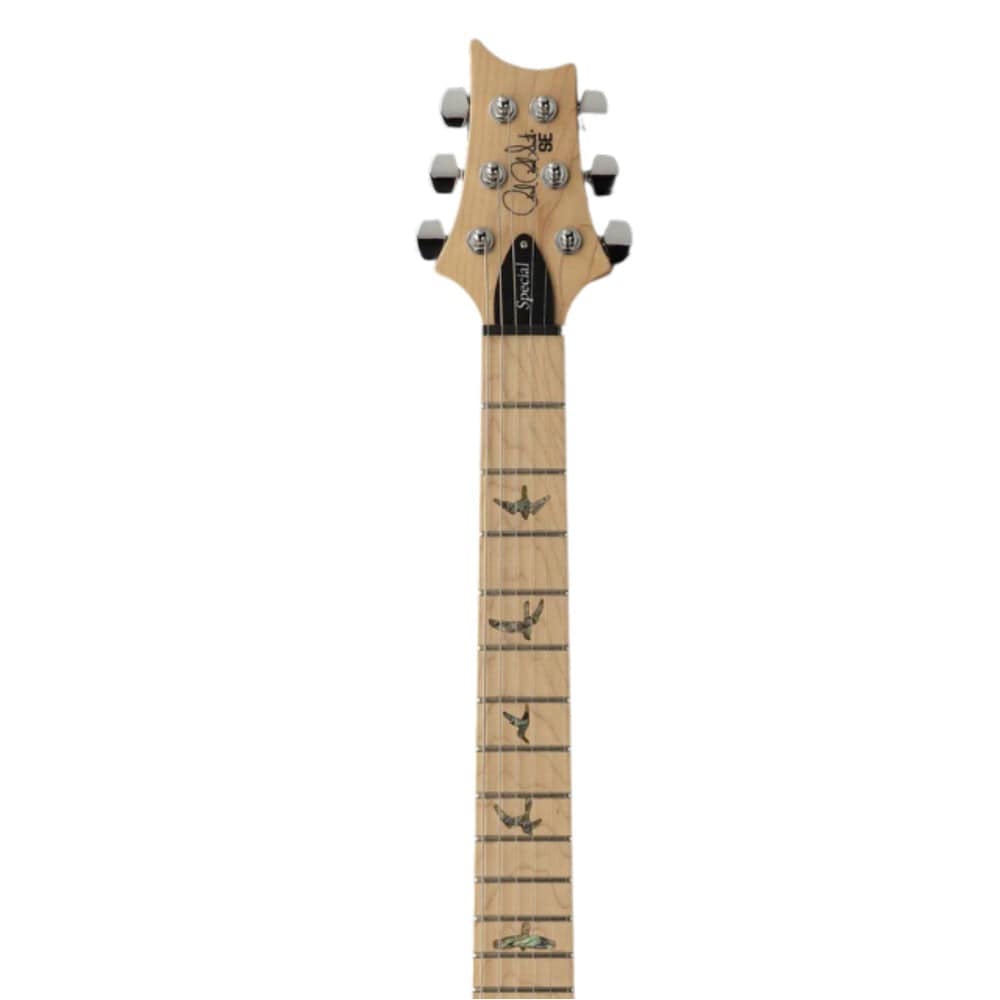 prs electric guitars prs se swamp ash special 6 string electric guitar #color_iri-blue
