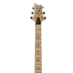 PRS Electric Guitars PRS SE Swamp Ash Special 6 String Electric Guitar