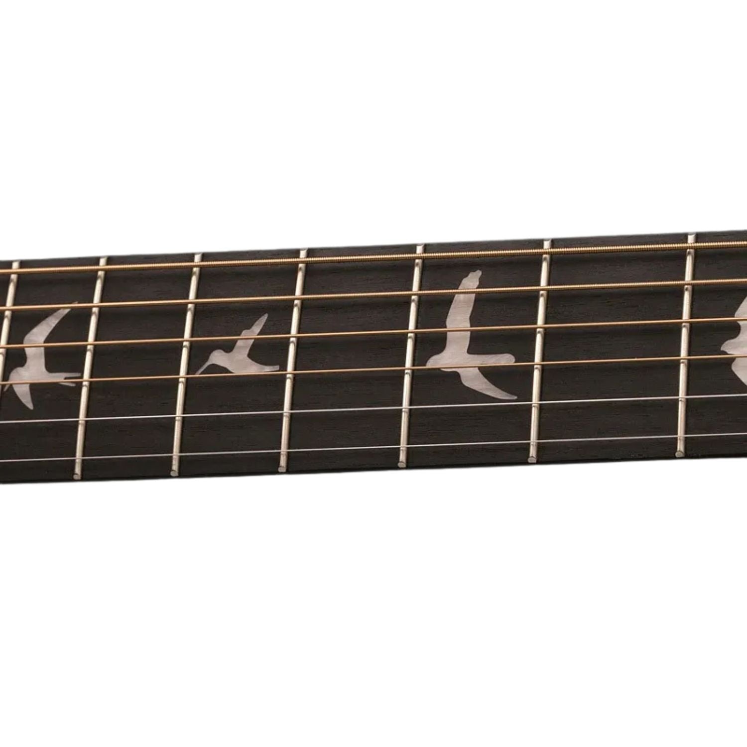 PRS Electro Acoustic Guitars Natural PRS AX20E Electro Acoustic Guitar with Gig Bag