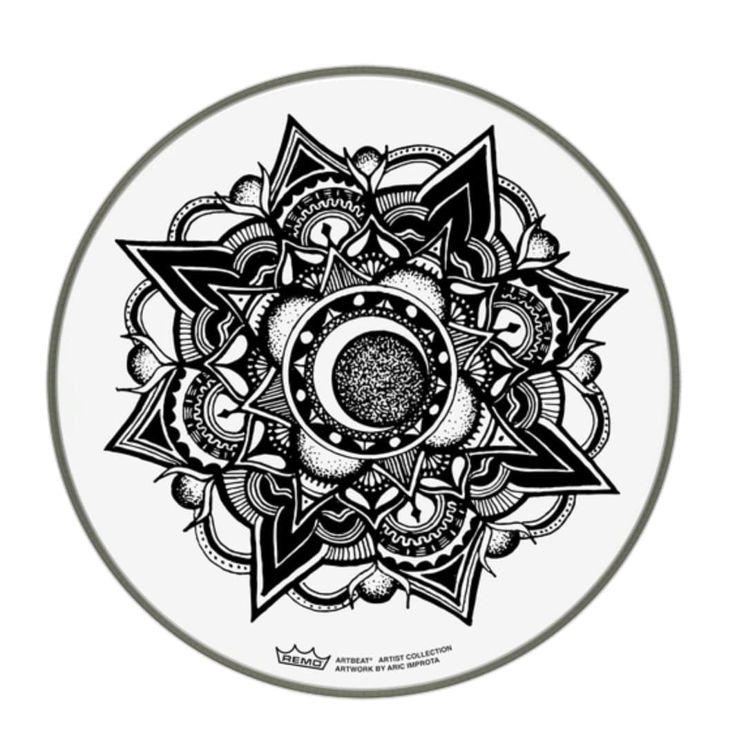 remo drum heads remo 14'' diameter skyndeep emperor clear nocturnal bloom artwork by aric improta artbeat artist collection drum head