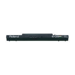 Roland Arranger Keyboards Roland E09IN Arranger Keyboard Indian Edition w/ Indian Sound Suite