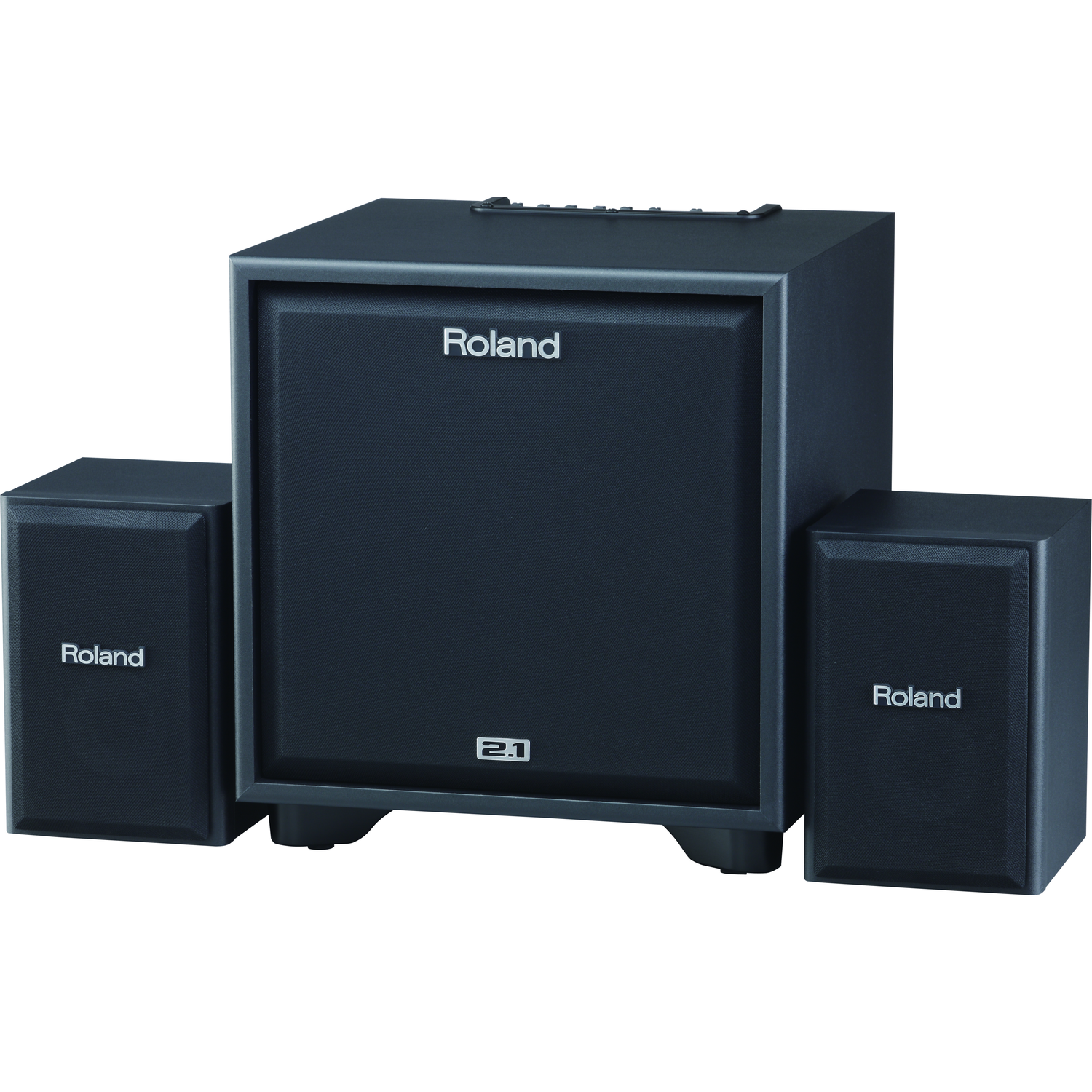 Roland Drum Amplifiers Roland CM-220 2.1 Monitor System