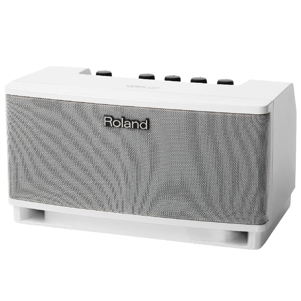 roland guitar combo amplifiers roland cube lite stereo monitor system