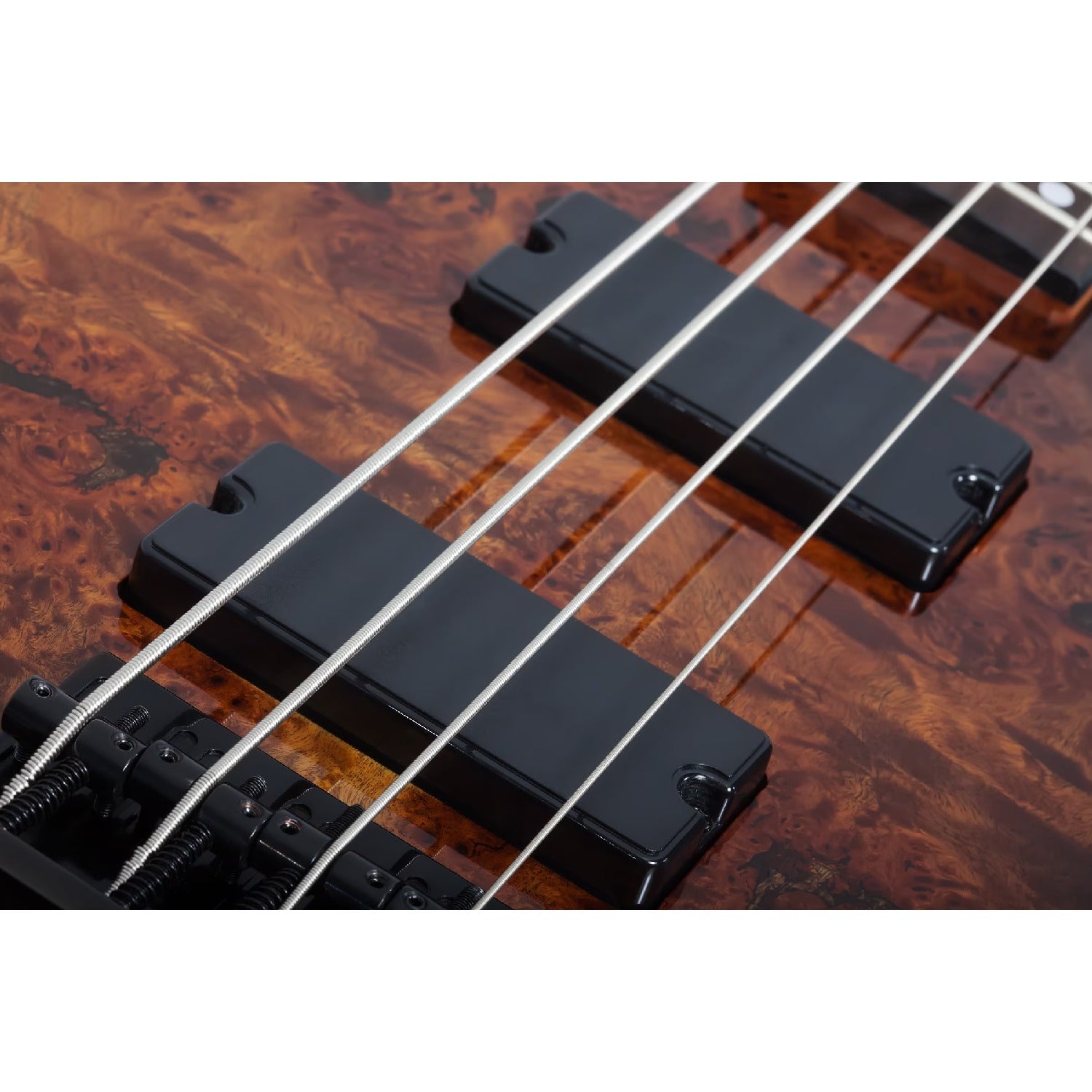 Schecter Bass Guitar Schecter C-4 Standard 4 String Bass Guitar