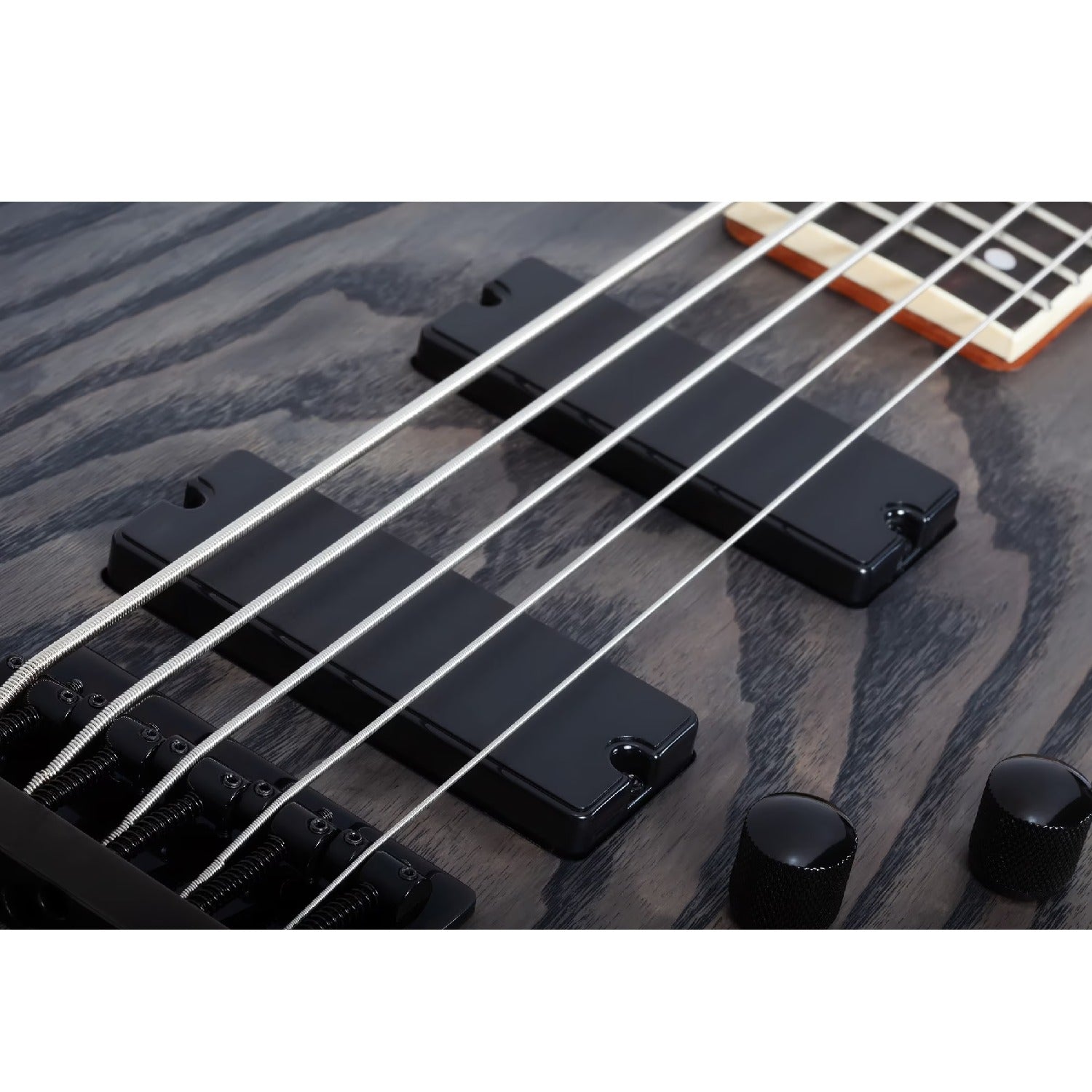 Schecter Bass Guitars Schecter C-5 Standard 5 String Bass Guitar
