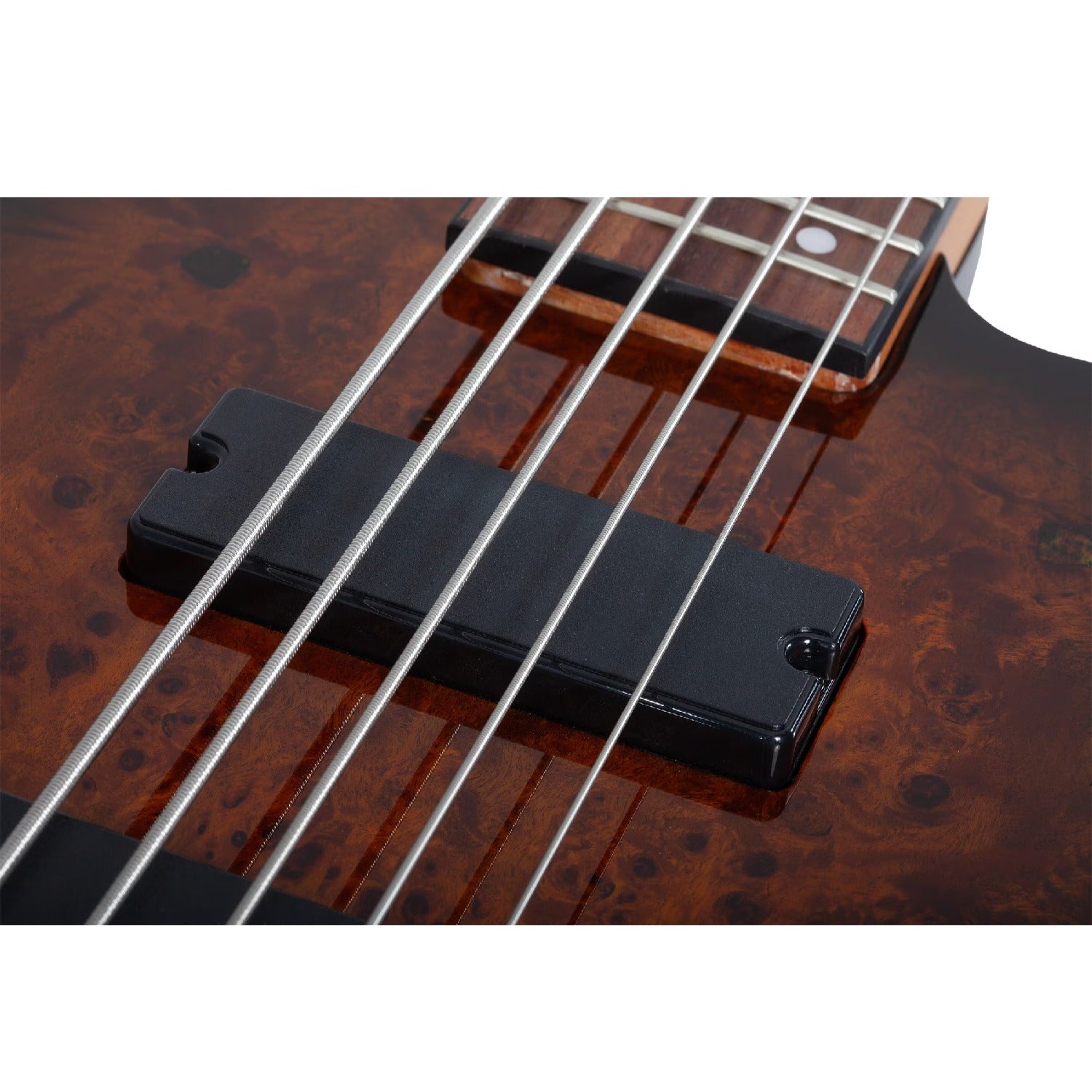 Schecter Bass Guitars Schecter C-5 Standard 5 String Bass Guitar