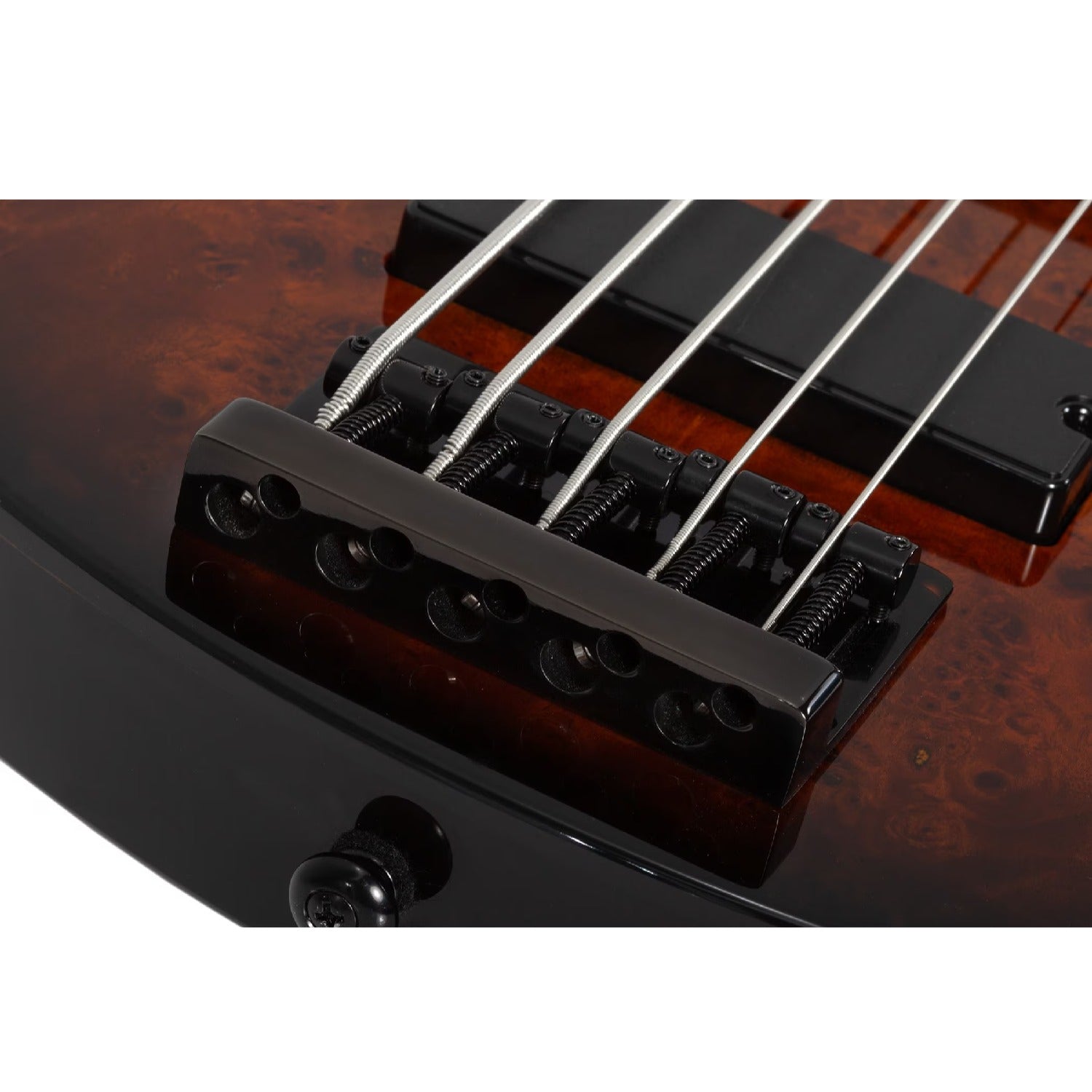 Schecter Bass Guitars Schecter C-5 Standard 5 String Bass Guitar