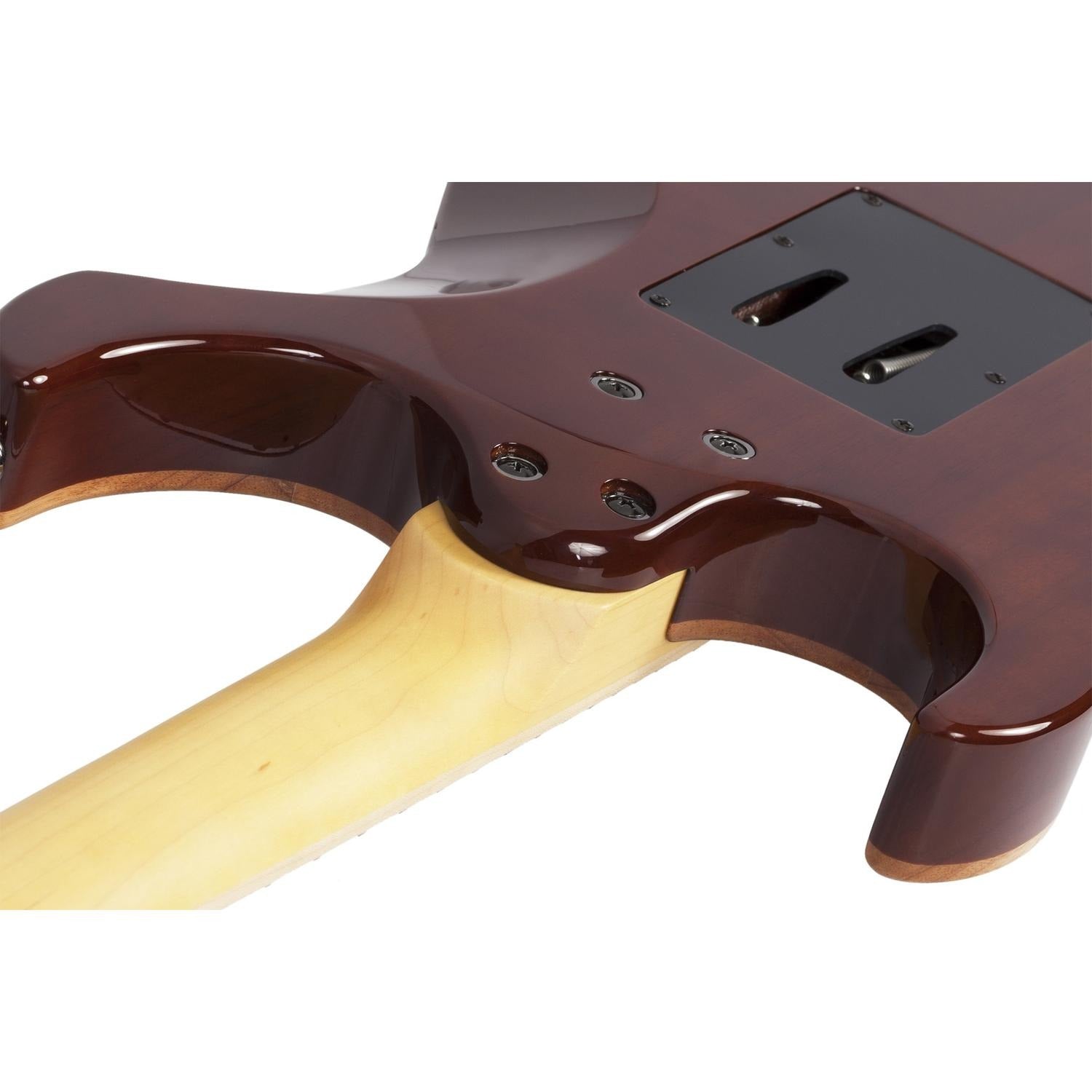 Schecter Electric Guitars Schecter Banshee-6 FR Extreme 6-String Electric Guitar