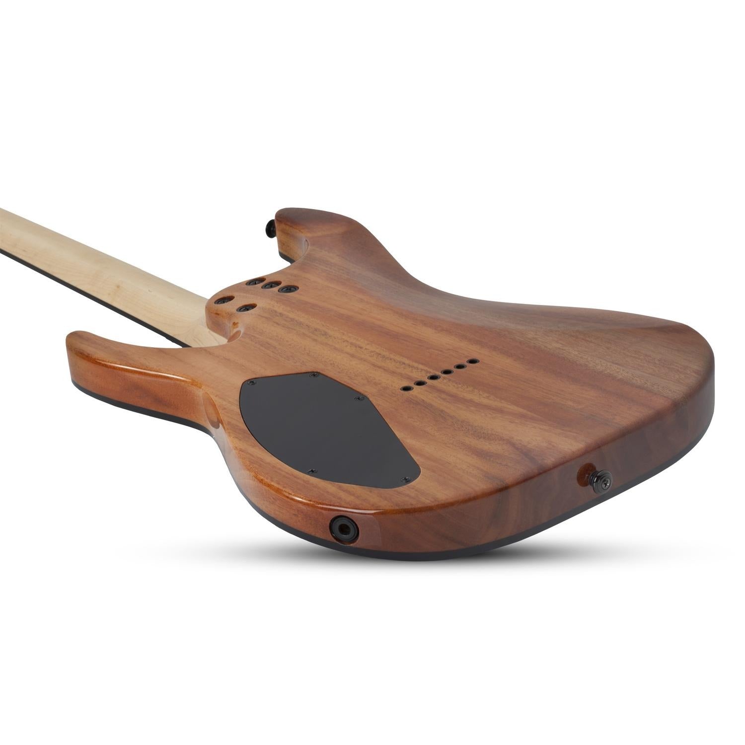 Schecter Electric Guitars Schecter C-6 Pro 6-String Electric Guitar