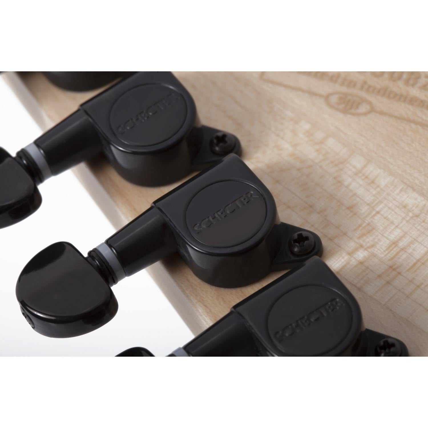 Schecter Electric Guitars Schecter C-6 Pro 6-String Electric Guitar