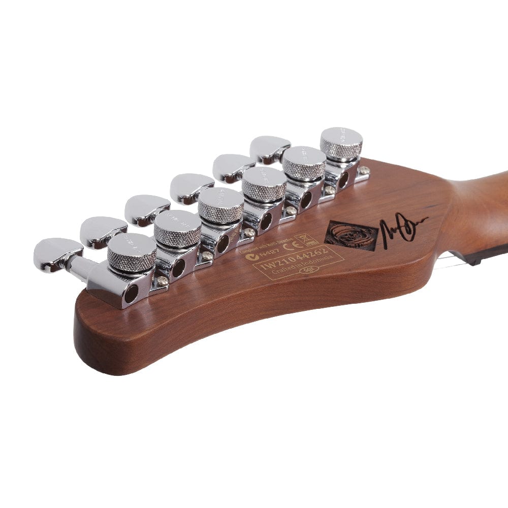 schecter electric guitars schecter nick johnston signature pt 6 string electric guitar