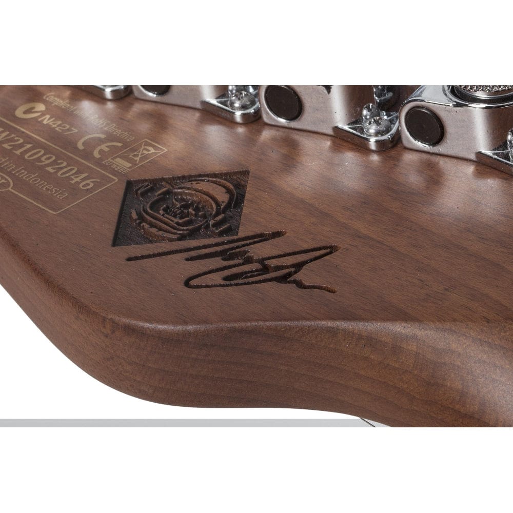 schecter electric guitars schecter nick johnston signature pt 6 string electric guitar #color_atomic-ink