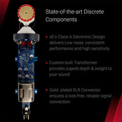 sE Electronics Condenser Microphones sE Electronics sE2200 Large Diaphragm Condenser Microphone