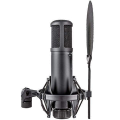sE Electronics Condenser Microphones sE Electronics sE2200 Large Diaphragm Condenser Microphone