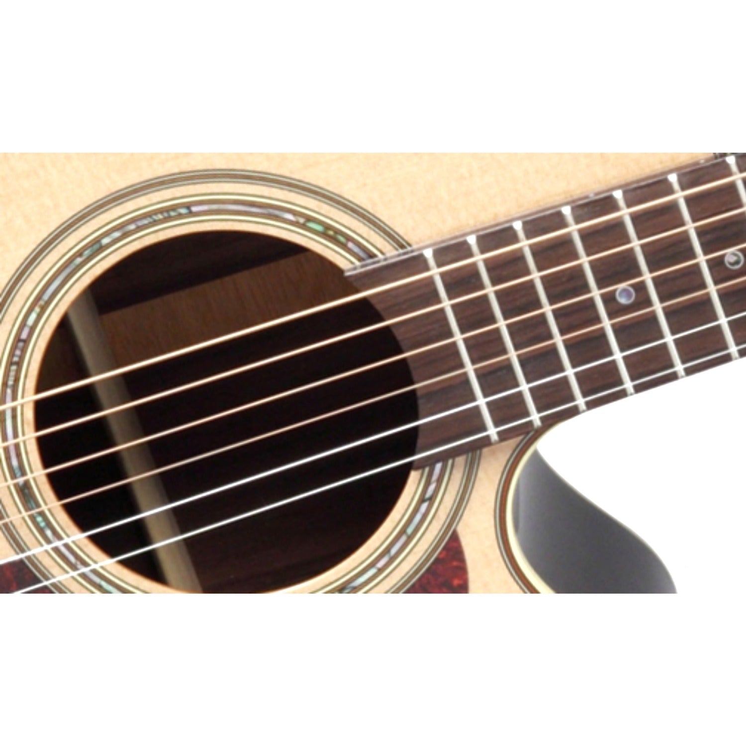 Takamine Electro Acoustic Guitars Takamine P5NC Cutaway Electro Acoustic Guitar - Natural High Gloss
