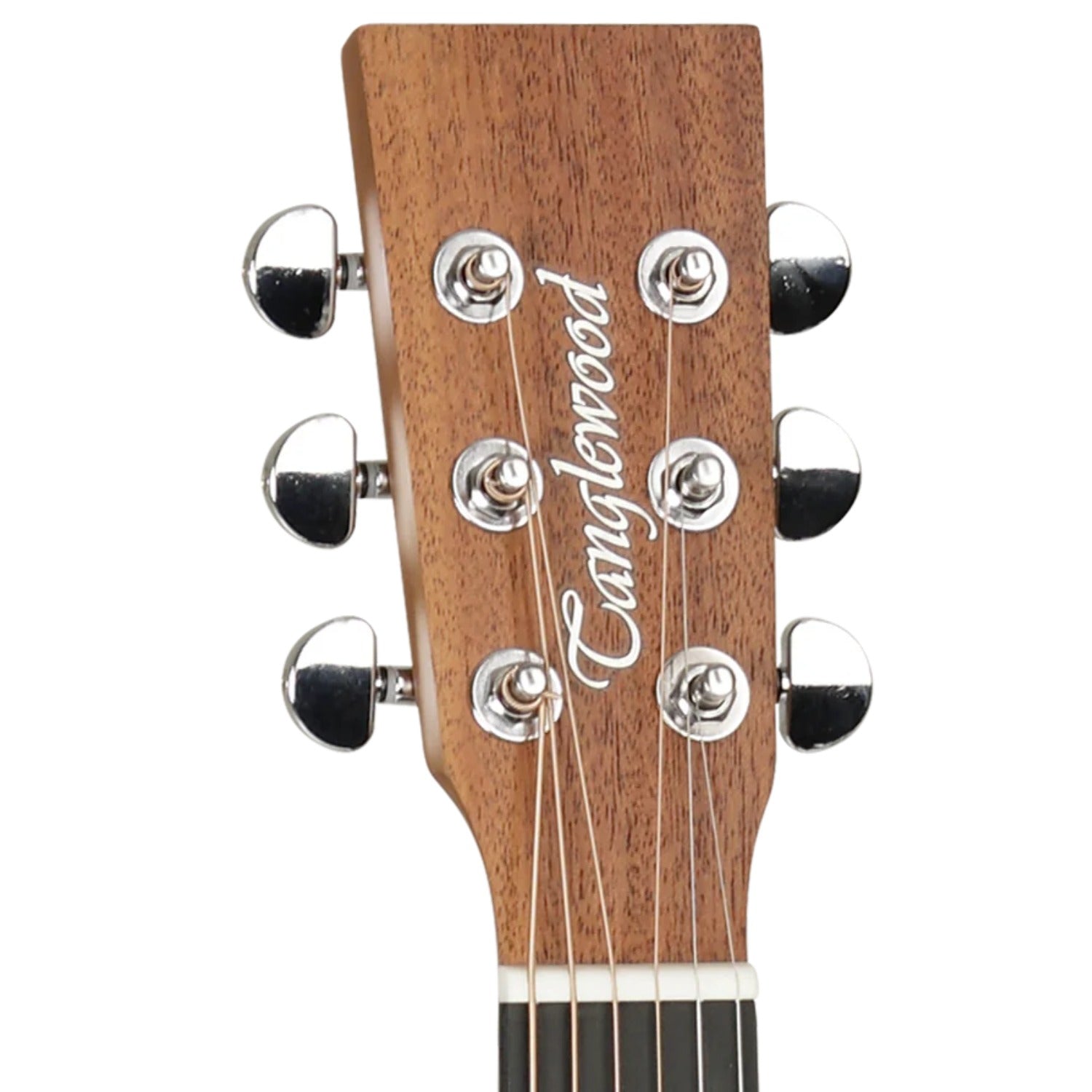 Tanglewood Acoustic Guitars Tanglewood TR8 Roadster II 6 String Acoustic Guitar