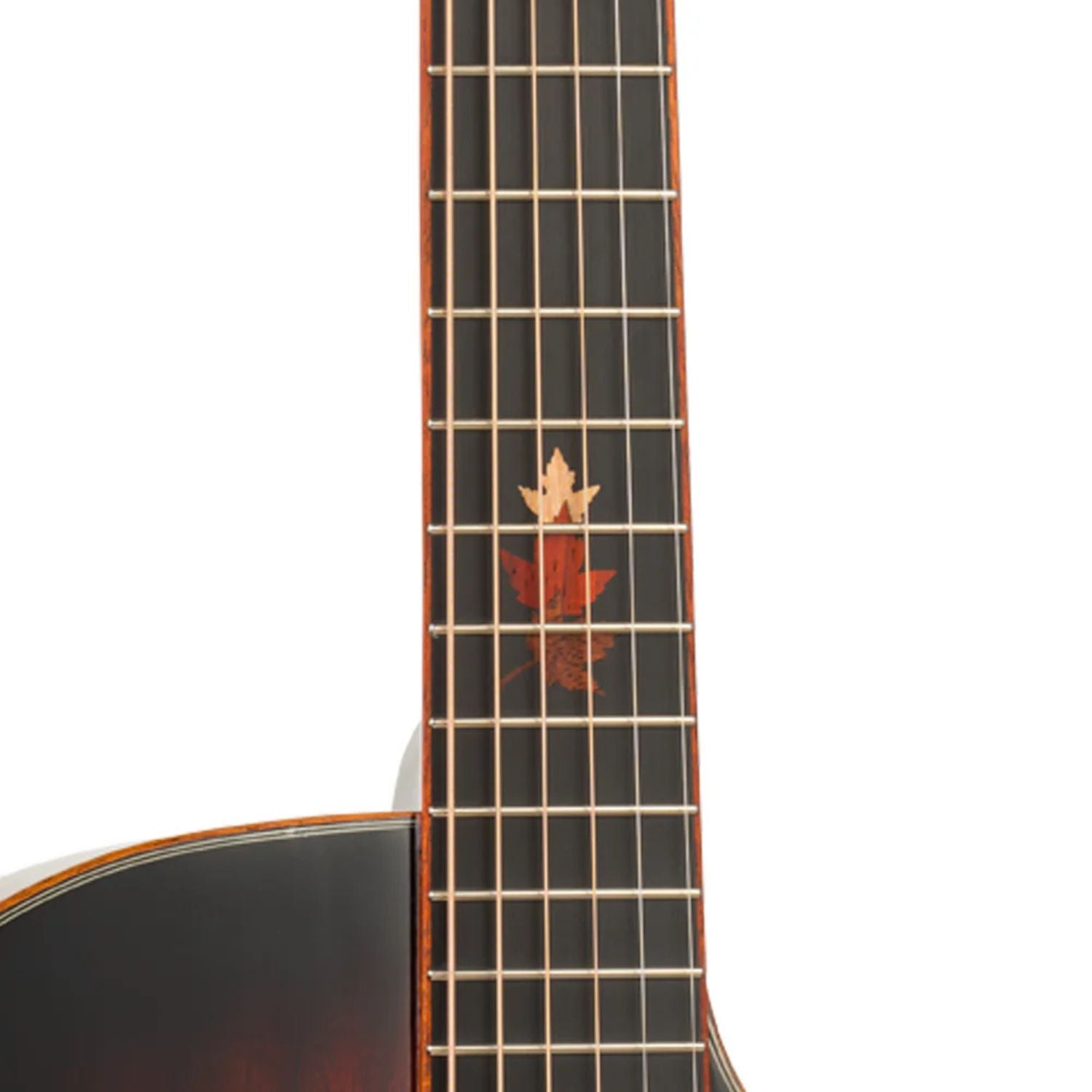 Tanglewood Electro Acoustic Guitars Autumn Burst Gloss Tanglewood TWX6CEK Winterleaf Venetian Cutaway Electro Acoustic Guitar
