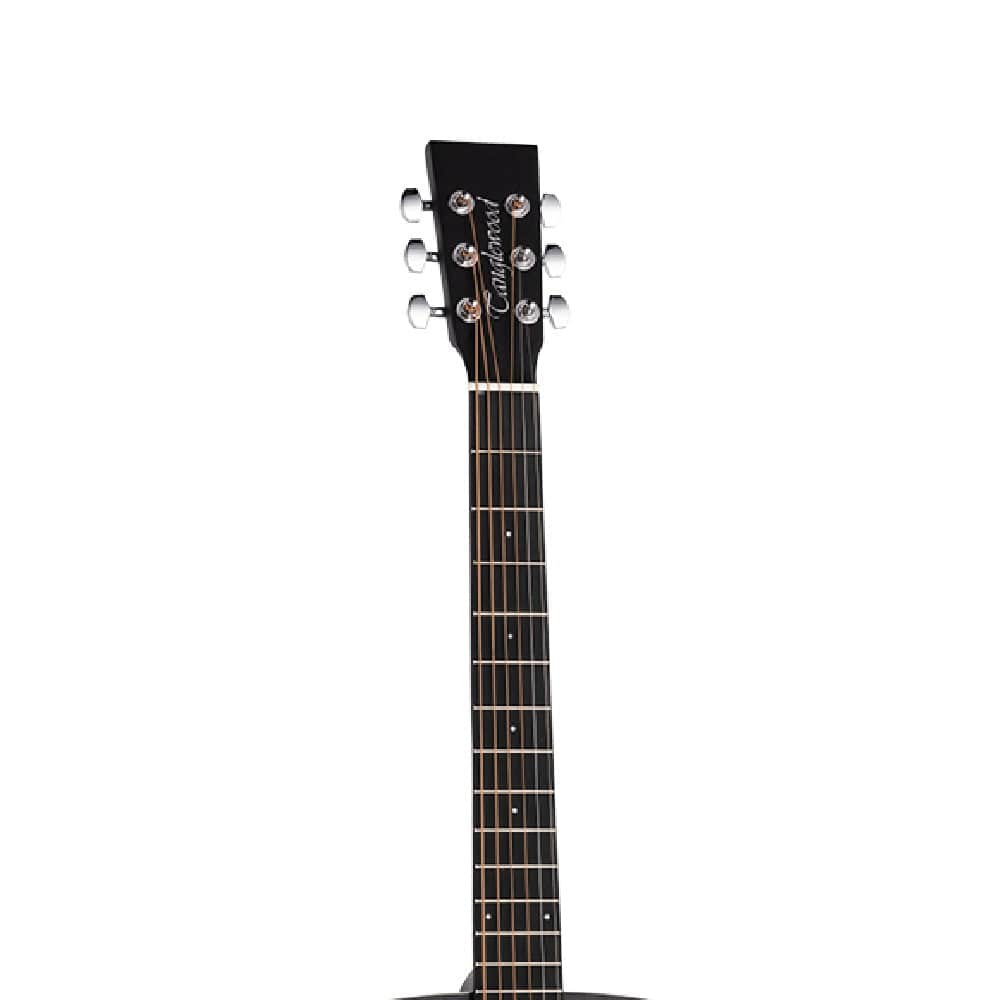 tanglewood electro acoustic guitars tanglewood twbboe 6-strings blackbird orchestra electro acoustic guitar