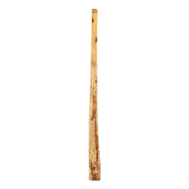 thomann didgeridoos 130cm - 140cm thomann eucalyptus didgeridoo - natural yellow box #size_130cm---140cm