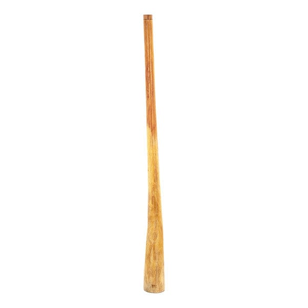 thomann didgeridoos 140cm - 150cm thomann eucalyptus didgeridoo - natural yellow box #size_140cm---150cm