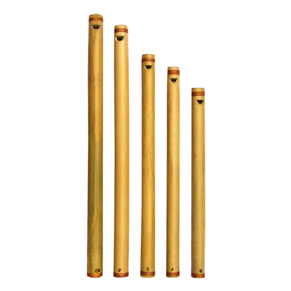 thomann flutes thomann rhythm flute set m