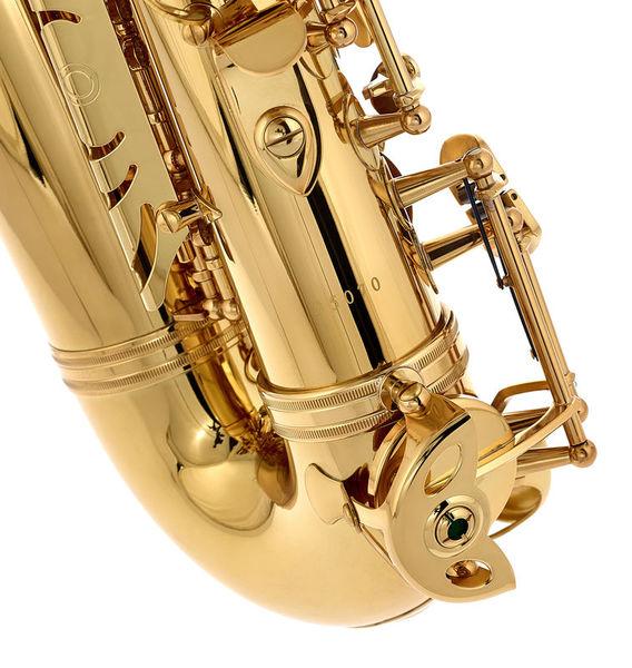 Thomann Saxophones Thomann Custom Line ASBGG