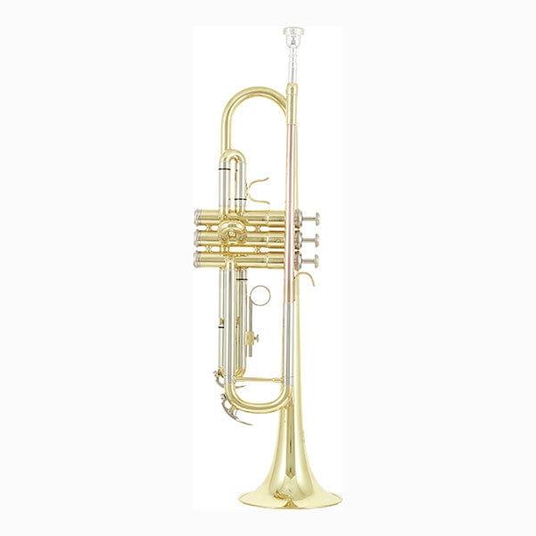 thomann trumpets clear lacquered thomann tr 200 bb-trumpet