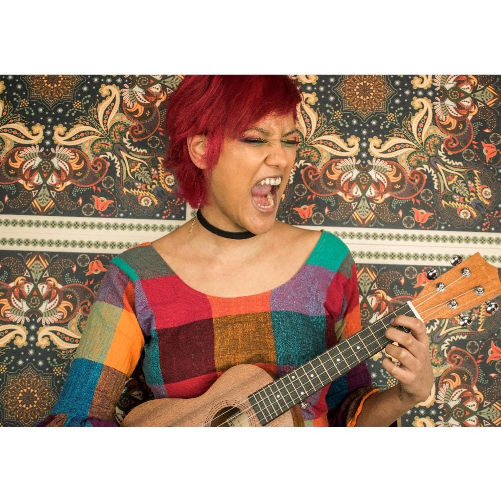 vault concert ukuleles vault uk-100c 24 inch arched back concert ukulele with gig bag