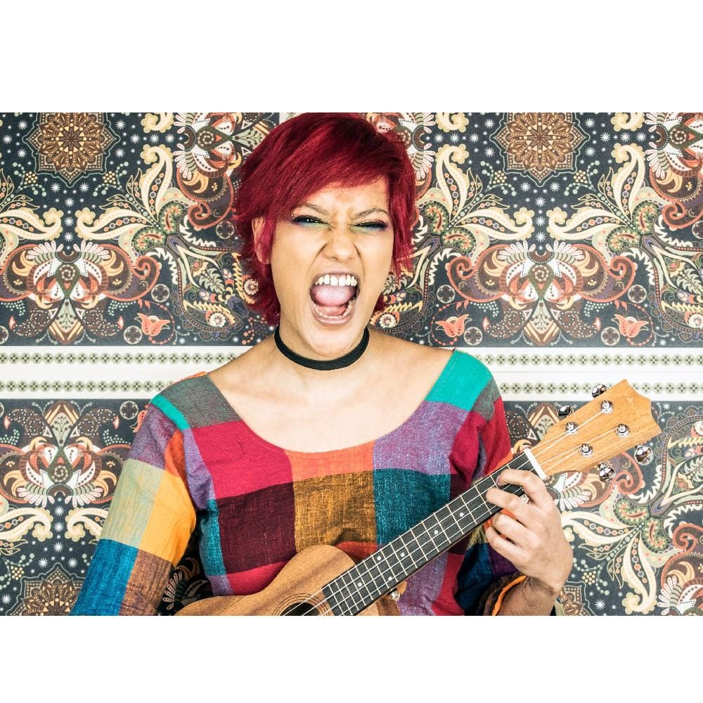 vault concert ukuleles vault uk-100c 24 inch arched back concert ukulele with gig bag