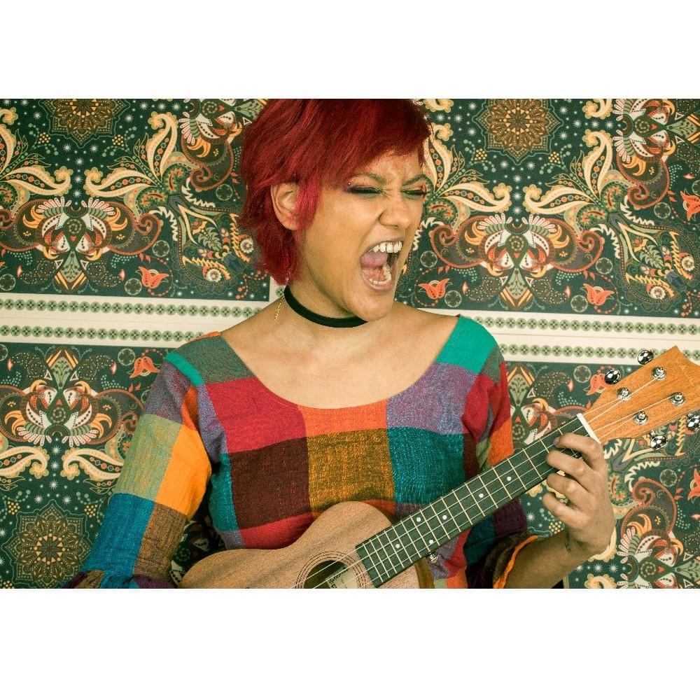 vault concert ukuleles vault uk-100c 24 inch arched back concert ukulele with gig bag