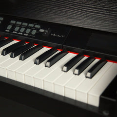 Vault Digital Pianos Vault Caesar MK2 88 Key Digital Piano