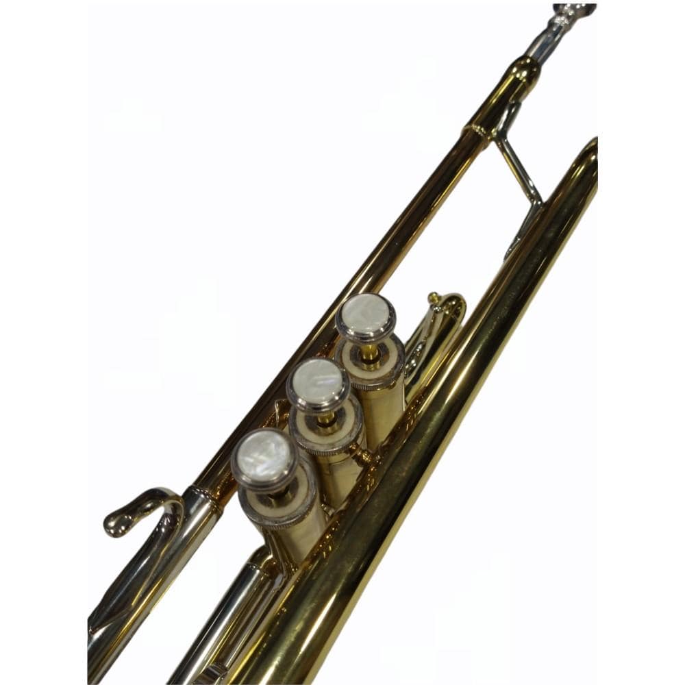 vault trumpets vault bb trumpet with nylon case - lacquer finish