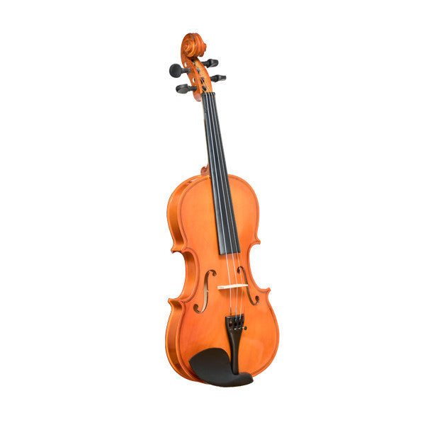 vault violins vault vi1020 4/4 beginner's violin with hard case, rosin and bow