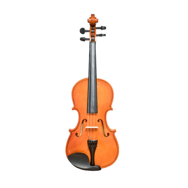 vault violins vault vi1020 4/4 beginner's violin with hard case, rosin and bow